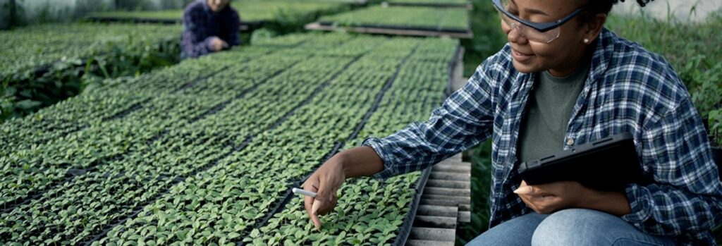 Woman with glasses full width image