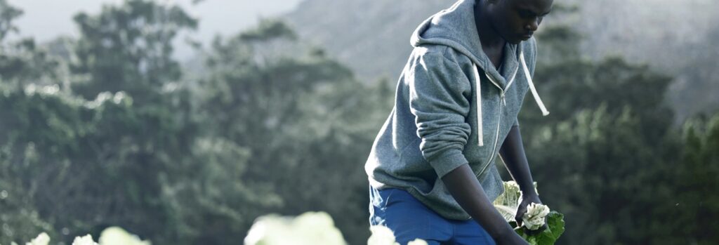 man in cabbage field full width image