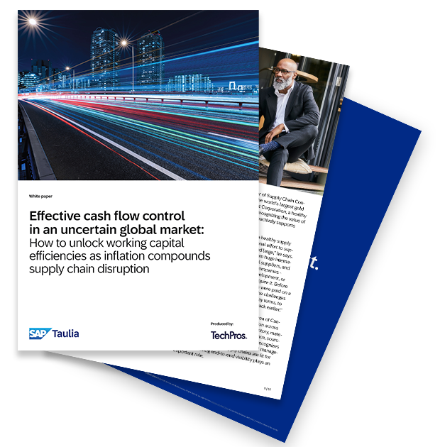 effective cash flow control whitepaper fan image